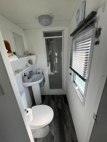 a small bathroom with a toilet and a sink at Sharons Lyons lido Caravan 3 bedrooms in Prestatyn