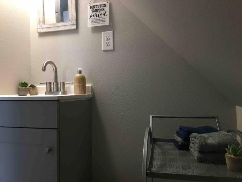 a bathroom with a sink and a mirror and a bed at Longhorn Cabin near Hidden Falls with View in Smithwick