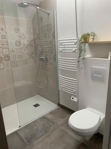 une salle de bain blanche avec douche et toilettes dans l'établissement Logement T2 indépendant 10 mn Angers, à Brain-sur-lʼAuthion
