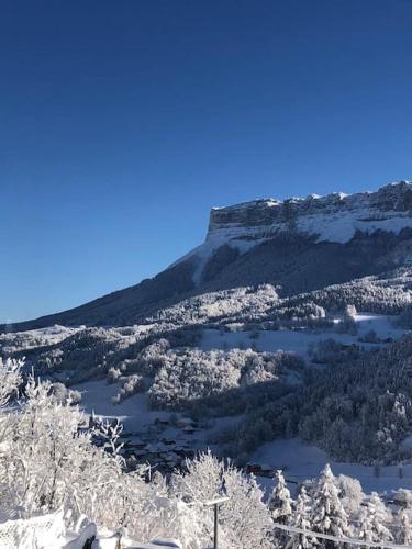 Maison montagne vue exceptionnelle En chartreuse