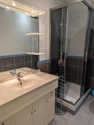 une salle de bain avec un lavabo et une douche dans l'établissement Ti Caraïbe appartement vue mer et parking gratuit du 1 juin au 30 septembre, à Canet