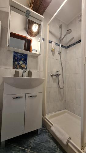 a bathroom with a sink and a shower at Studio Arsenale 7 in Rovinj
