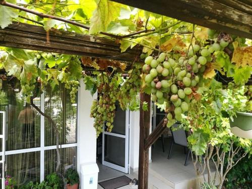 Jardín al aire libre en Вилла Яна