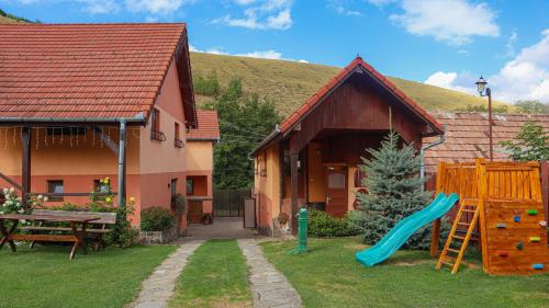 a house with a slide and a playground in the yard at Marginimea Sibiului - Pensiunea Darian & David in Orlat