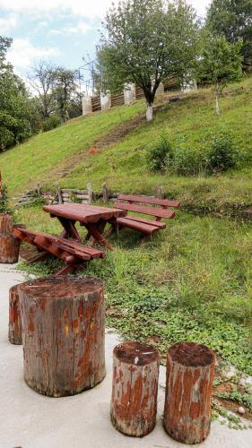 a picnic table and three logs in front of a field at Marginimea Sibiului - Pensiunea Darian & David in Orlat