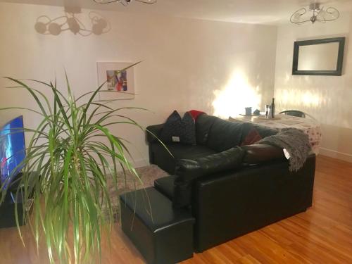 a black couch in a living room with a plant at The Pentland Apartment in Penicuik