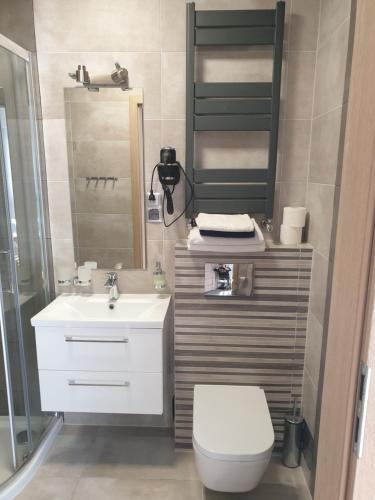 a bathroom with a sink and a toilet and a mirror at VILLA MILA Apartamenty in Karpacz
