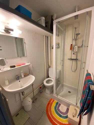 une salle de bain avec une douche, un lavabo et des toilettes dans l'établissement Appartement avec chambre séparée Résidence Auvergne, à La Bourboule