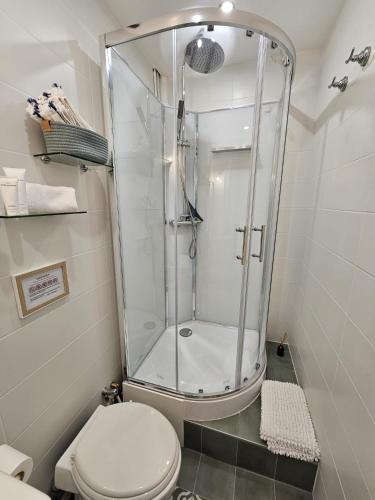 une salle de bain avec douche et toilettes dans l'établissement 