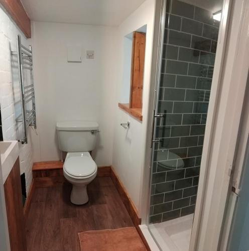 a bathroom with a toilet and a glass shower at St Edmunds Brewery in Downham Market