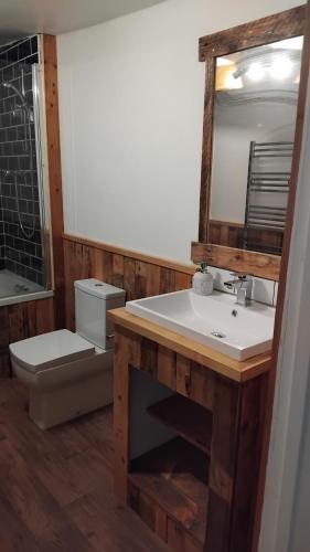 a bathroom with a sink and a mirror and a toilet at St Edmunds Brewery in Downham Market