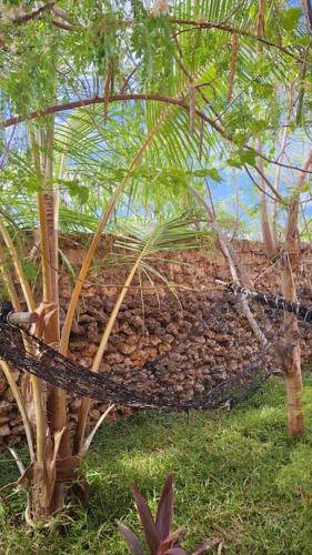 a hammock in front of a stone wall at Manasha Watamu in Watamu