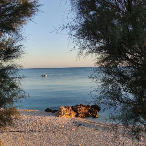 a beach with a boat in the water at L'Acquaviva in Bisceglie