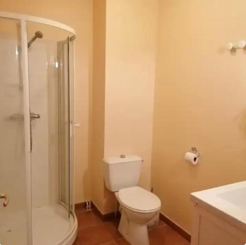 une salle de bain avec toilettes, douche et lavabo dans l'établissement Ferme ancienne des tilleuls, à Vinay