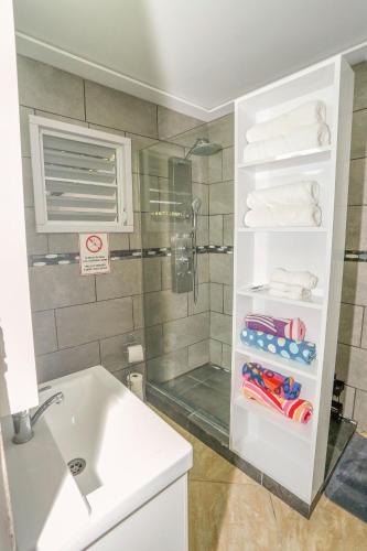a bathroom with a shower and a sink and a glass shower stall at EcoMar Rentals in Cabo Rojo