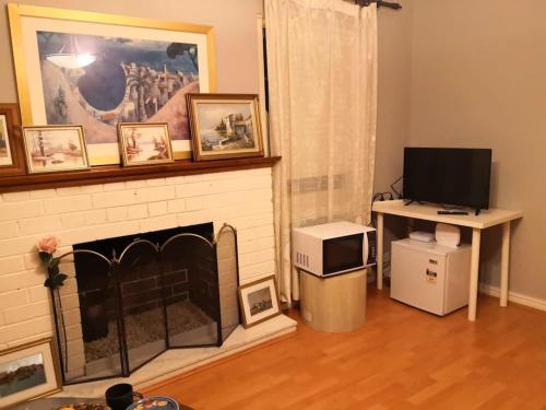 a living room with a fireplace and a television at Cozy 2 bed villa in Narwee in Riverwood