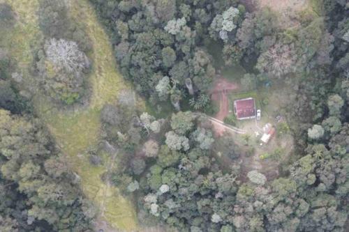 an aerial view of a house in the middle of a forest at Refugio Jabuticaba, CASA DO TOPO - Romantismo sob o ceu estrelado in Santo Antônio do Pinhal