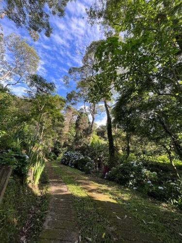 a path in a park with trees and bushes at Refugio Jabuticaba, CASA DO TOPO - Romantismo sob o ceu estrelado in Santo Antônio do Pinhal