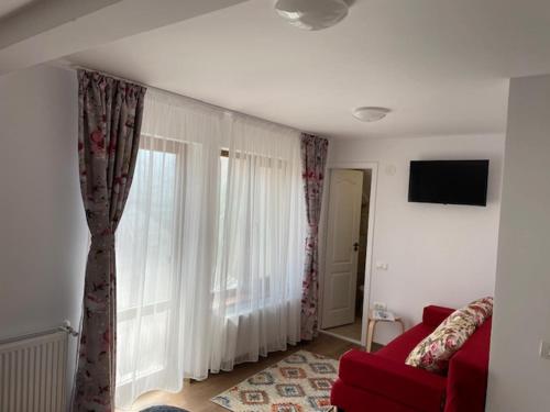 a living room with a red couch and a window at Casa Bunicilor in Nucşoara