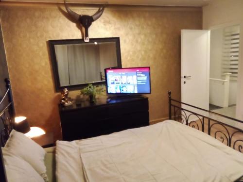 TV a/nebo společenská místnost v ubytování Hasselt House