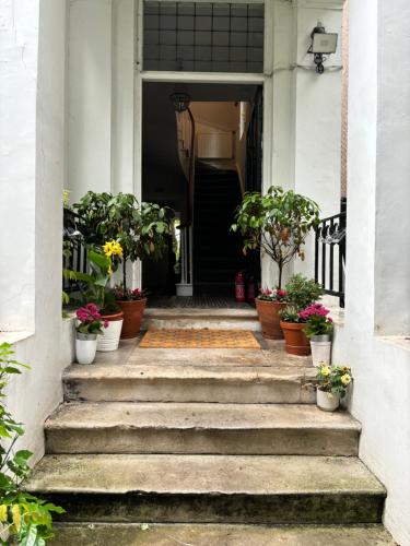 an entrance to a house with potted plants on the stairs at Central Victorian House in London