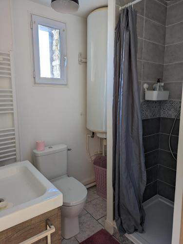 une salle de bain avec toilettes, lavabo et douche dans l'établissement Appartement T5, au Havre