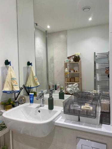 a bathroom with a sink and a mirror at Cozy Flat with Stunning Views in London
