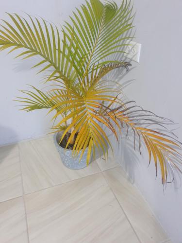 a plant in a blue pot sitting on a floor at Cozy Retreat in Kelly Village