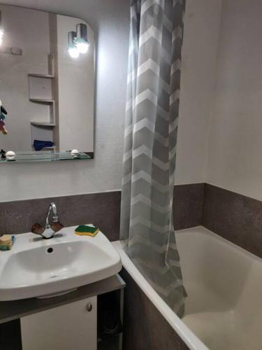 une salle de bain avec un lavabo et un rideau de douche dans l'établissement studio plein SUD été comme hiver, aux Carroz d'Arâches
