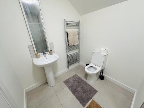 Koupelna v ubytování King Room with Ensuite in Dublin
