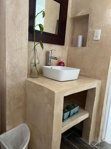 a bathroom with a white sink on a wooden stand at Villa Lulu in Chicxulub