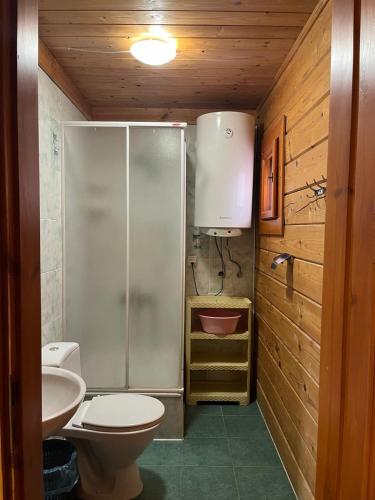 a bathroom with a shower and a toilet and a sink at Arnika in Skhidnitsa
