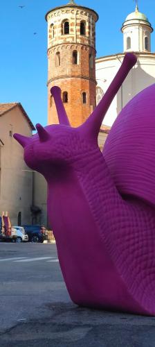 Gambar di galeri bagi Domus Antiche Mura di Asti