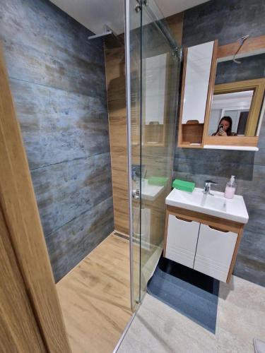 a bathroom with a shower and a sink and a mirror at Deluxe Apartments Belgrade in Kanarevo Brdo