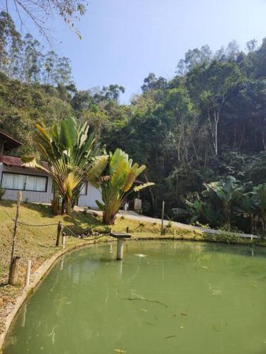 a pond of green water in front of a house at Casa da lagoa in Barra do Trombudo
