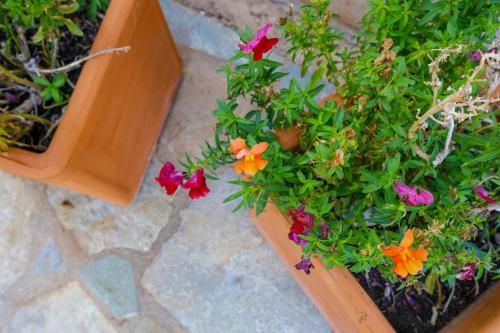 a wooden planter with colorful flowers in it at Alethea's Sea View Apartment in Kalamaki