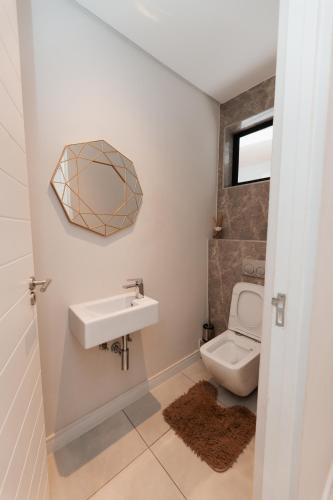 a bathroom with a sink and a toilet at The paramount in Johannesburg