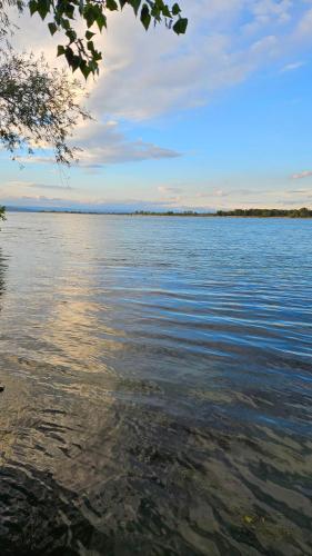 a view of a large body of water at Dunavska Priča in Negotin