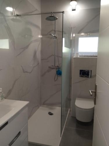 a bathroom with a glass shower with a toilet at Abrigo do verao Maison près du lac in Rio Caldo