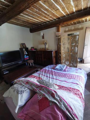 une chambre avec un lit et un piano dans l'établissement hebergement chez l'habitant Hyères Campagne, à Hyères
