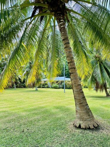 Jardín al aire libre en CHEZ VAIANA