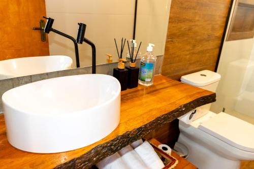 a bathroom with a white sink and a toilet at Chalé Serra dos tucanos in Gonçalves