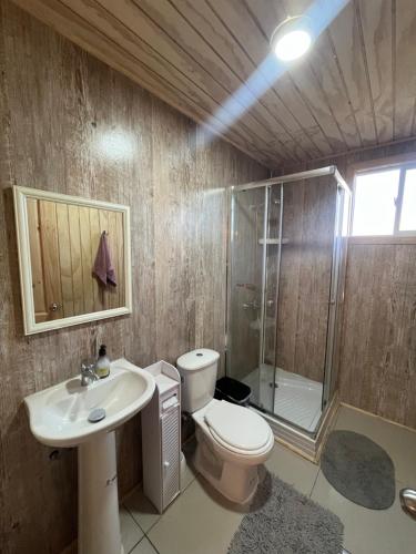 a bathroom with a toilet and a shower and a sink at Quilquico Lodge in Castro