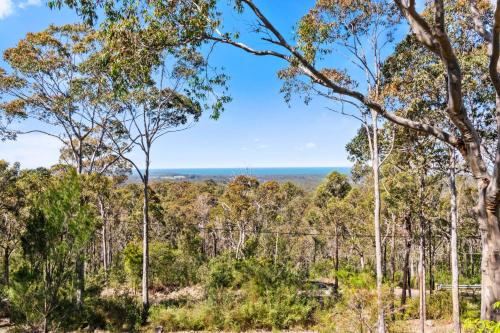 a view of the forest from the top at The Retreat at Moruya in Moruya