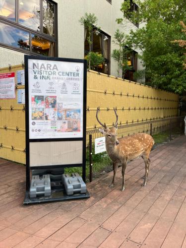 Zvířata v hotelu nebo okolí