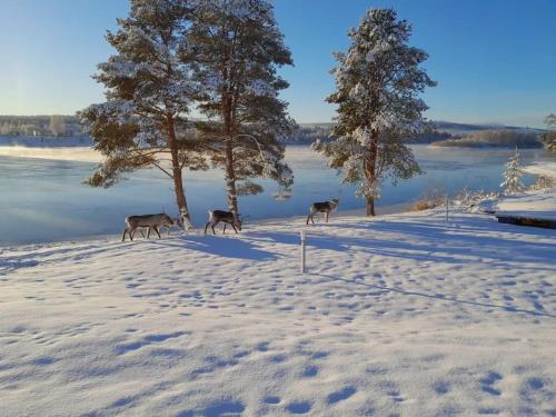 Příroda nedaleko vily