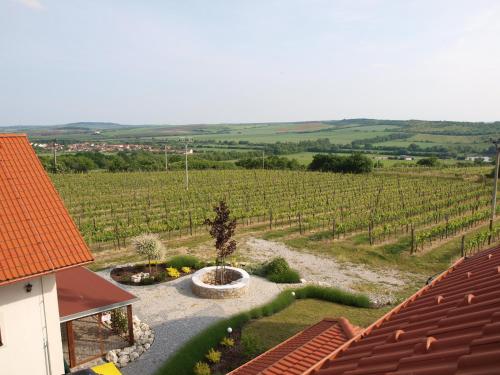 a view of a vineyard from the roof of a house at Penzion Mušlov in Mikulov