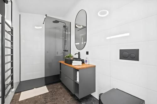 a bathroom with a shower and a vanity with a mirror at Þingvallavatn Hot Tub Sauna 2024 Built Cabin in Veiðilundur