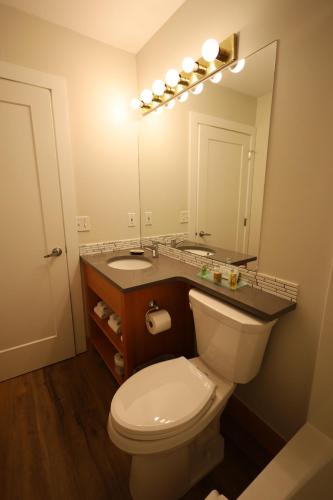 a bathroom with a toilet and a sink and a mirror at Glacier Mountain Lodge in Blue River