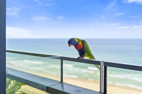 Φυσικό τοπίο κοντά σε αυτό το διαμέρισμα